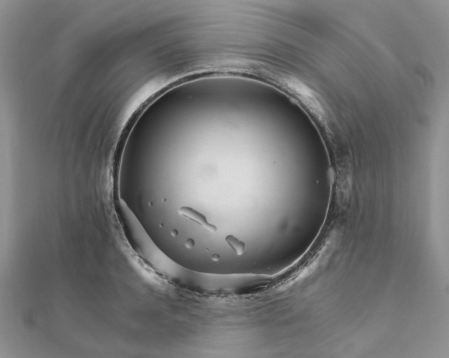 X0000111680944200907311216