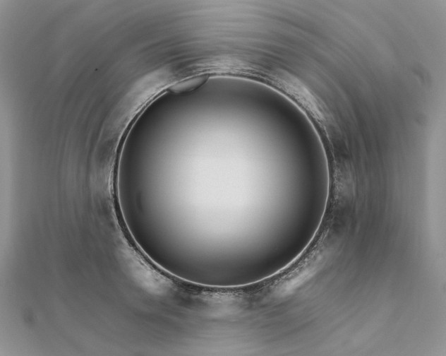 X0000111680946200907311217