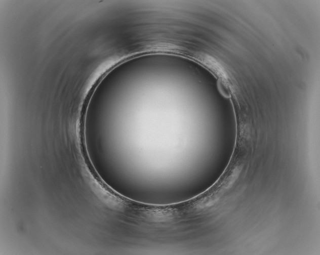 X0000111680947200907311217