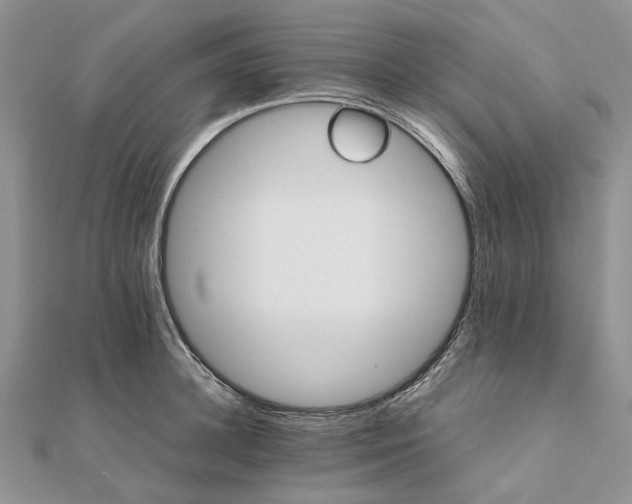 X0000111680948200907311217