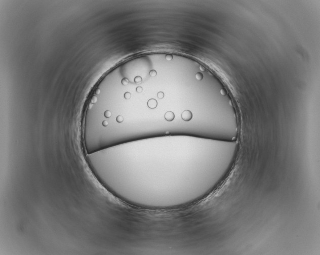 X0000111680949200907311217