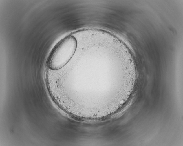 X0000111680950200907311217