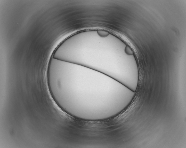 X0000111680951200907311217