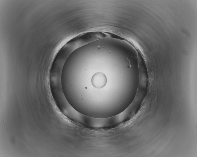 X0000111680952200907311217