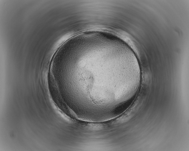 X0000111680954200907311217