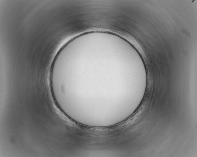 X0000111680958200907311217