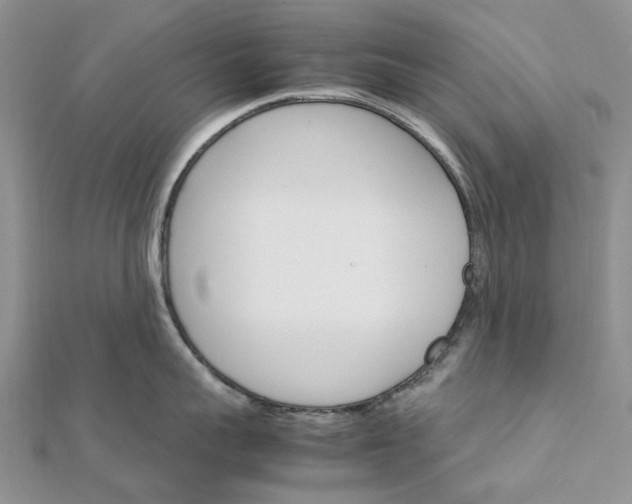 X0000111680959200907311217