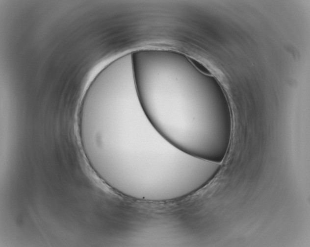 X0000111680960200907311217