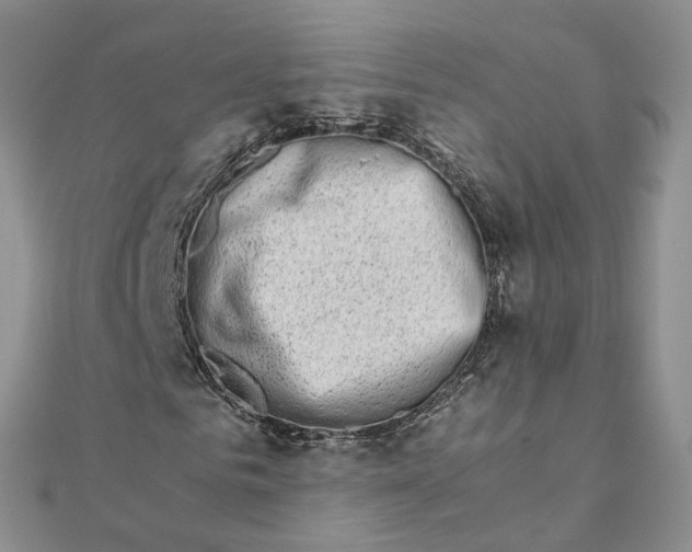 X0000111680961200907311216