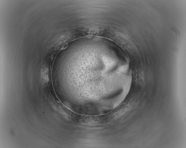 X0000111680962200907311216