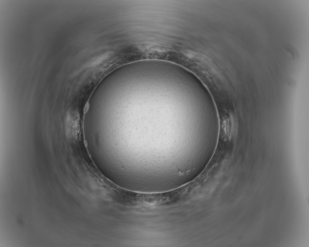 X0000111680963200907311216