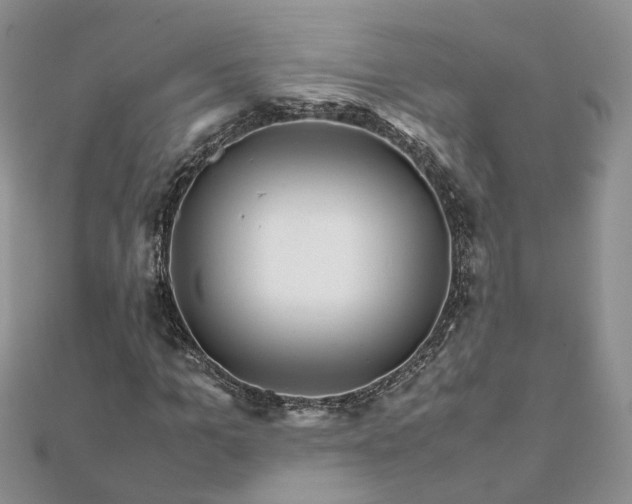 X0000111680965200907311216