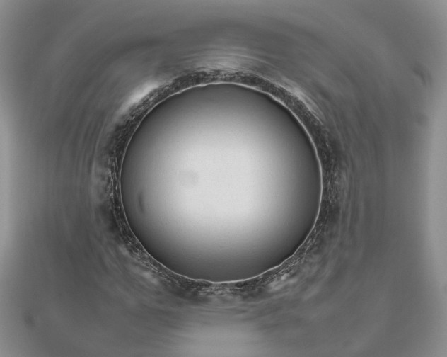 X0000111680967200907311216