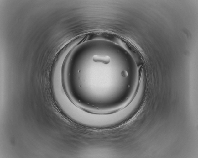 X0000111680969200907311216