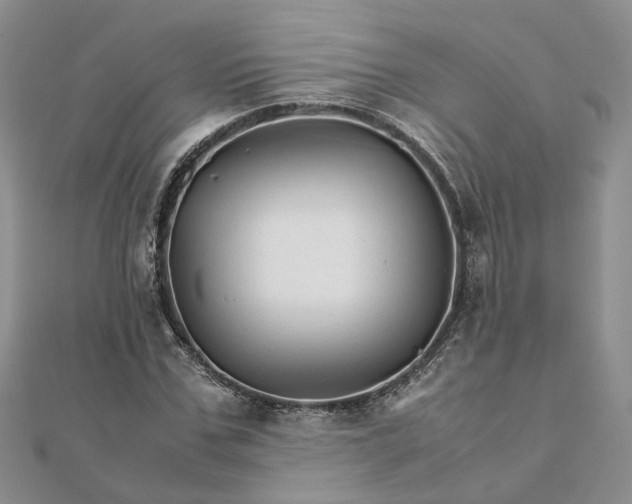 X0000111680971200907311216