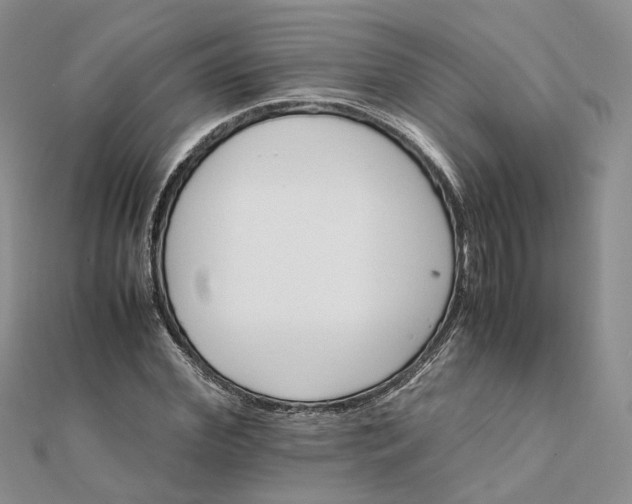 X0000111680972200907311216