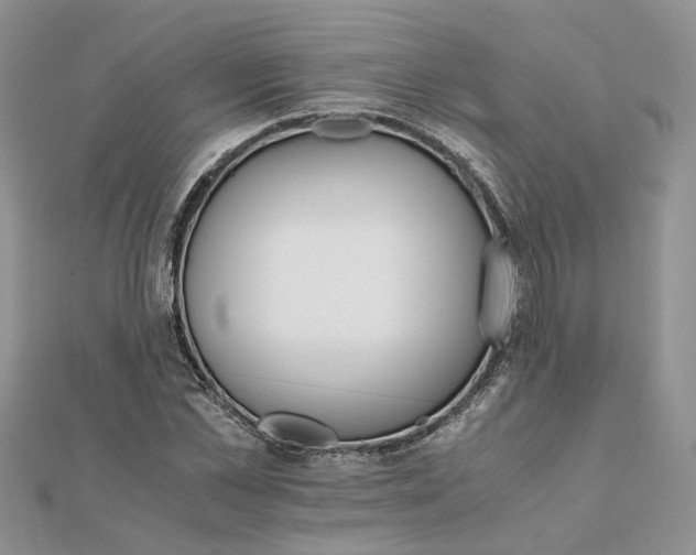 X0000111680973200907311216