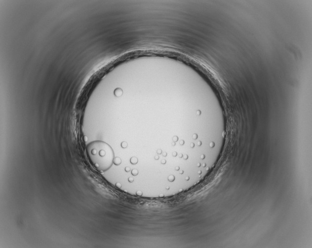 X0000111680974200907311216