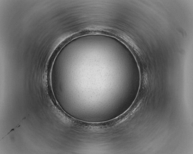 X0000111680976200907311216