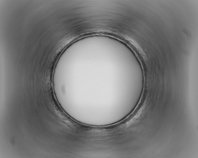 X0000111680977200907311216