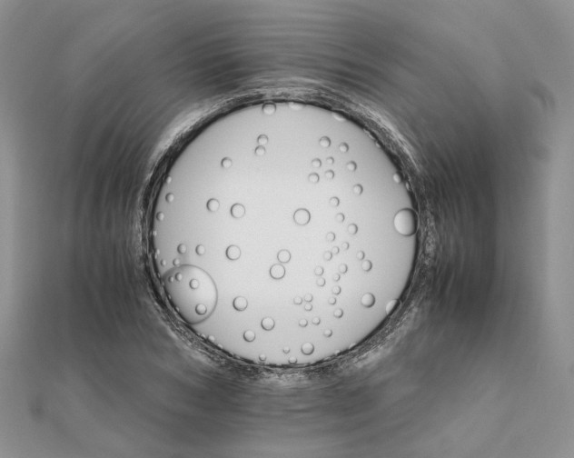 X0000111680978200907311216