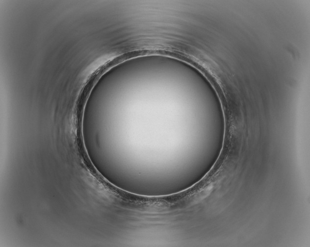 X0000111680979200907311216