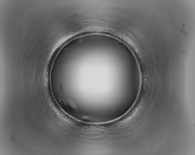 X0000111680981200907311216