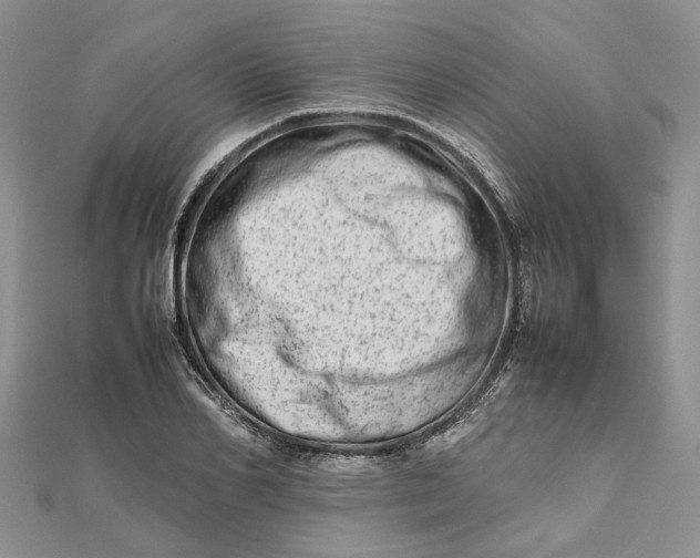 X0000111680982200907311216