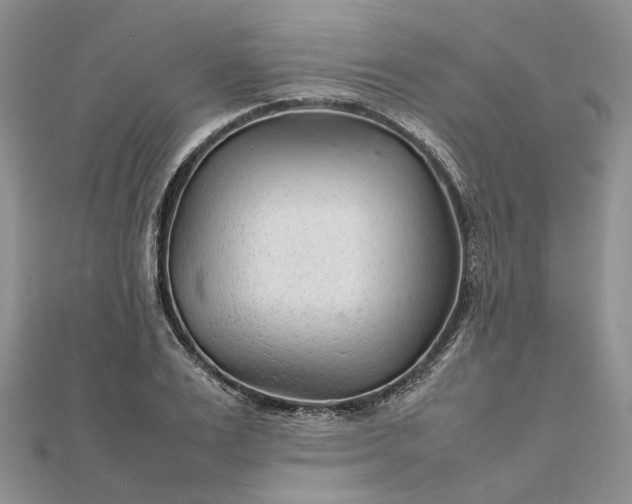 X0000111680983200907311216