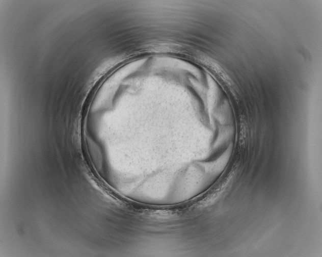 X0000111680986200907311216