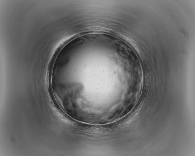 X0000111680987200907311216