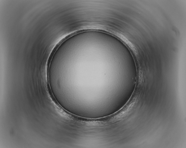 X0000111680988200907311216