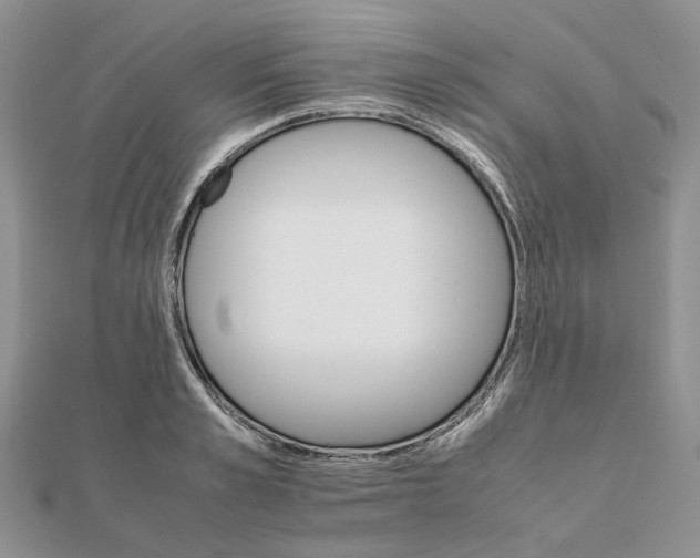 X0000111680989200907311216