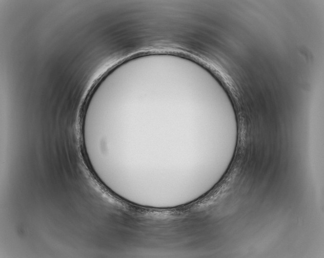 X0000111680990200907311216