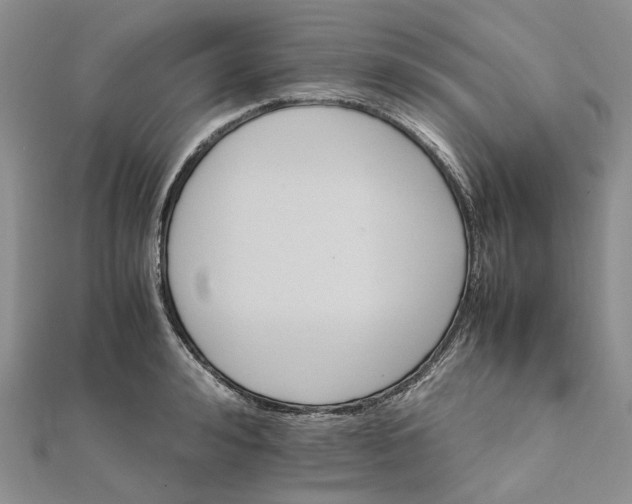 X0000111680992200907311216