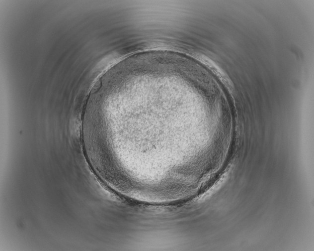 X0000111680993200907311216