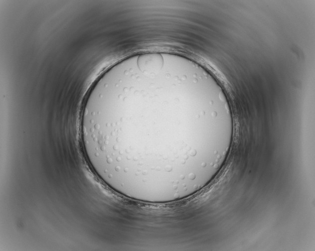 X0000111680994200907311216