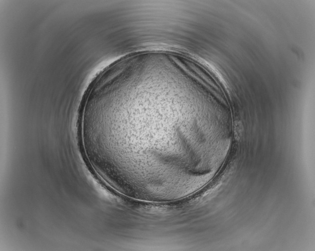 X0000111680995200907311216