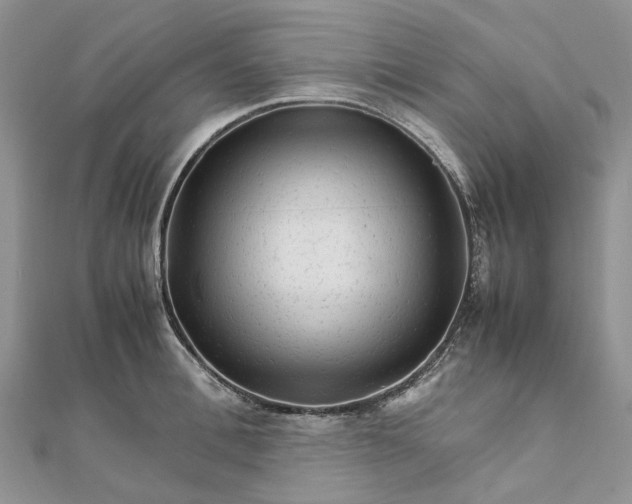 X0000111680996200907311216