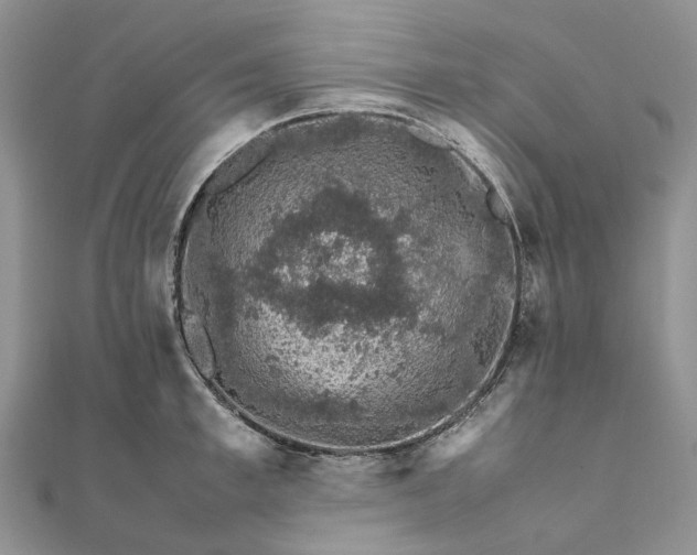 X0000111680997200907311216