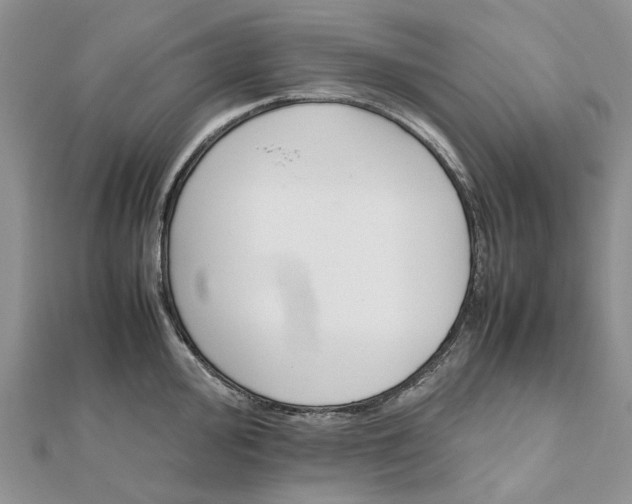 X0000111681000200907311216