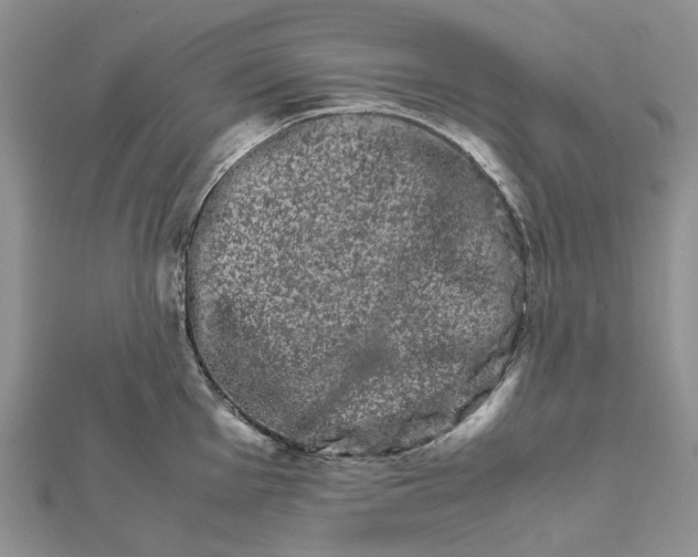 X0000111681001200907311216