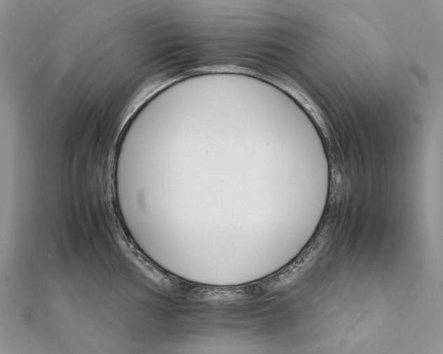 X0000111681002200907311216