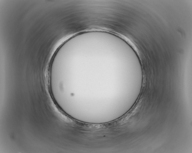 X0000111681003200907311216