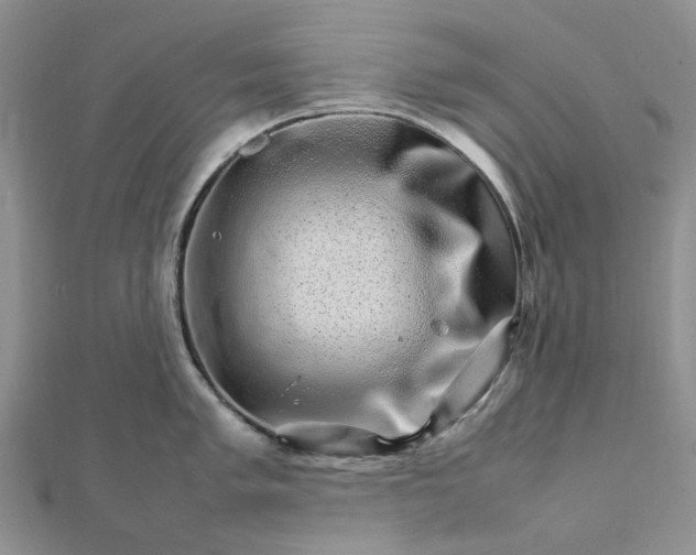 X0000111681005200907311216