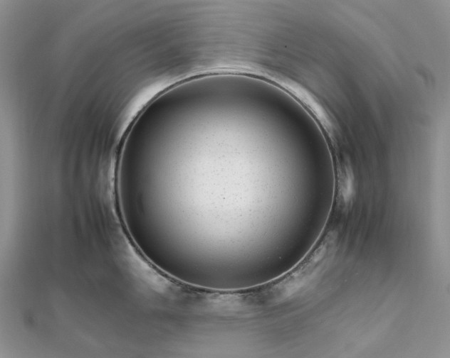 X0000111681006200907311216