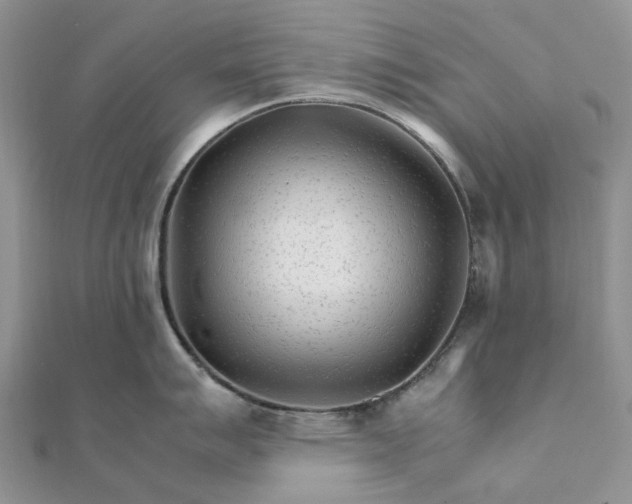 X0000111681007200907311215