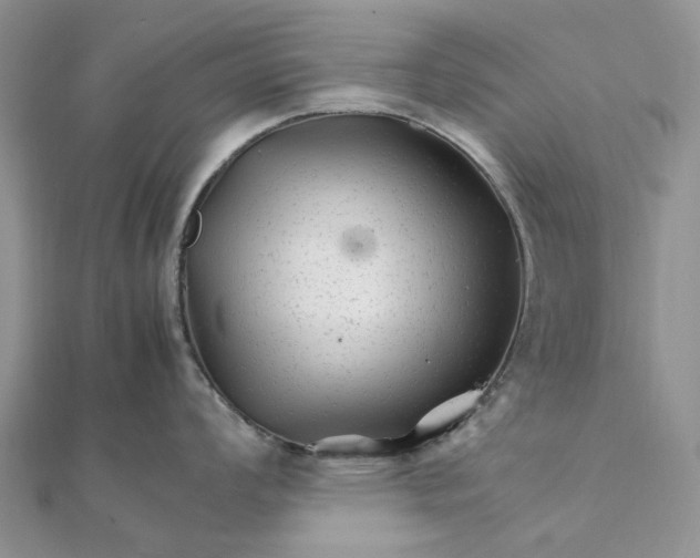 X0000111681008200907311215