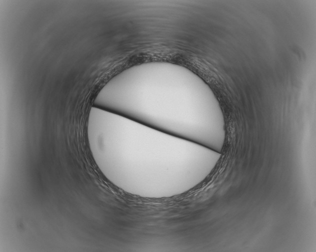 X0000111681010200907311215