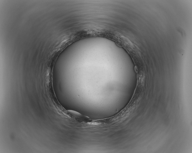 X0000111681012200907311215